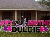 20200220_140129_345064_pinkbday