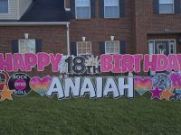 anonym_31b5965fb7dd4027874f827a9ff77bdf~mv2