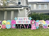 71024f3e-5008-4d6a-87da-3d5a7d3dd8a5