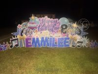 anonym_6eafe989091645878900f2741867e6fd~mv2