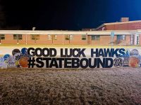 anonym_d033589c8a7546bf9196b41497da8176~mv2