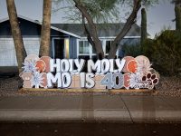 anonym_1cc031bd35964192963e8062af7ab0ca~mv2