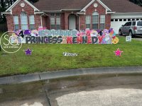 anonym_931a6834a155410a948a7bf2bf280e0f~mv2