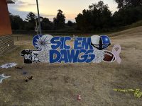 anonym_8b96a7783f2e45beb851a1b950872def~mv2