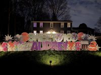 4dcff5_75b68f75660b42b0a555372bdd147a50~mv2