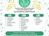 90ee41_ec61693acb4a417f8bfc7f78512ec319~mv2