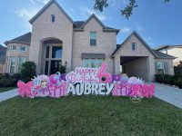 anonym_042a2db9f4ba4f5290dcdb308422bc5a~mv2