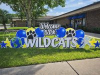 e1940256-b550-419b-b2fb-8e532ea731ef