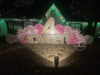 ffb669_72f2bebb80384fb89cb061ffa5b217a6~mv2