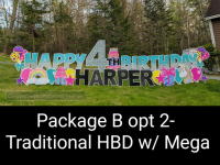 Package B opt 2- Traditional HBD Mega