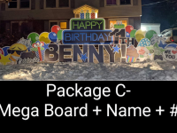 Package C- Mega Board