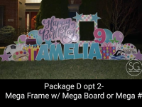 Package D- Mega Frame and additional Mega